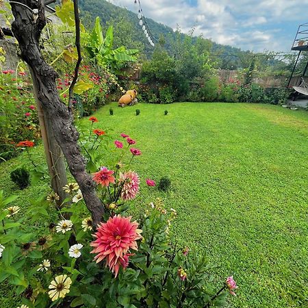 Hotel Mountain View Lagodekhi Zewnętrze zdjęcie