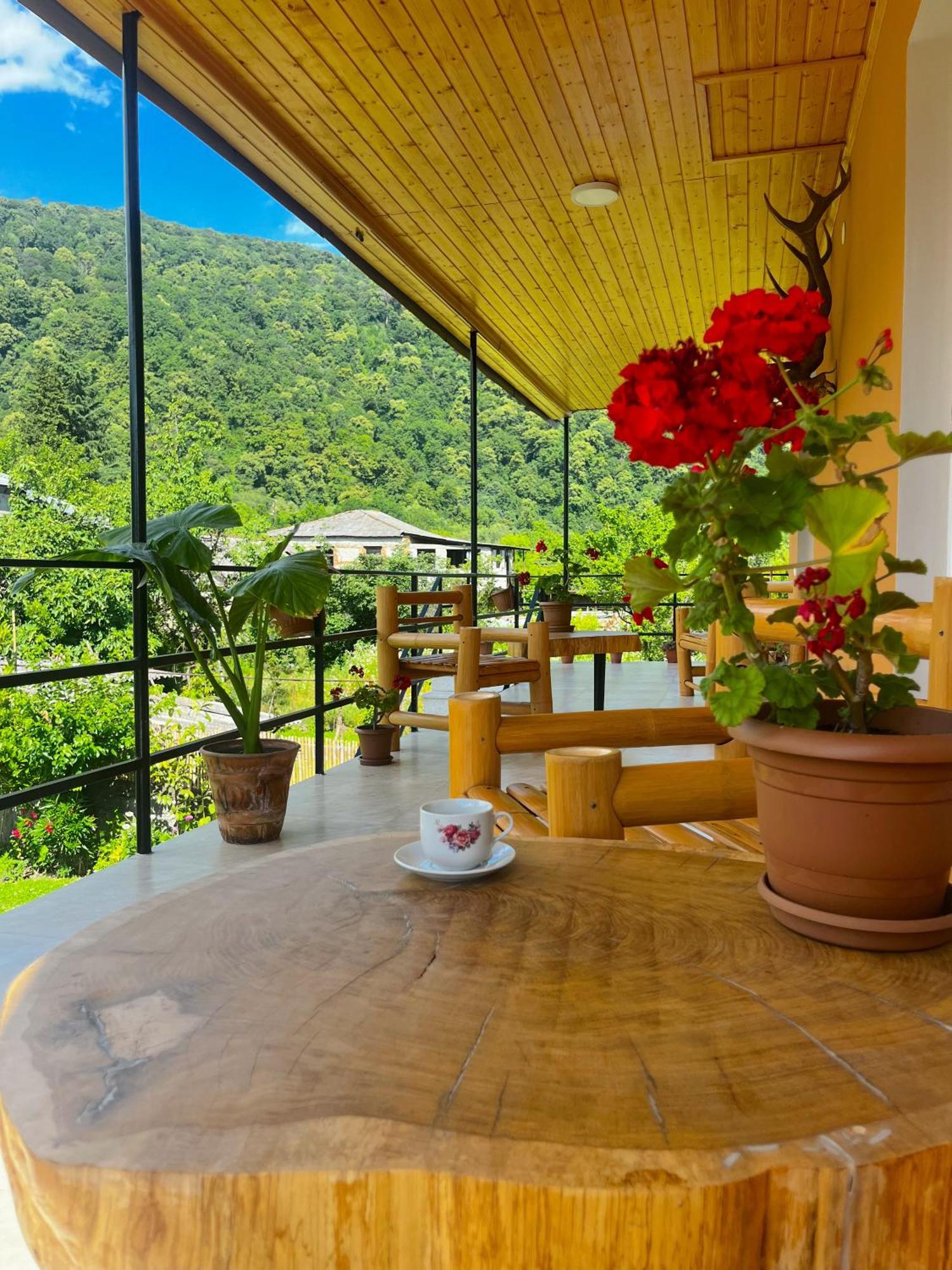 Hotel Mountain View Lagodekhi Zewnętrze zdjęcie