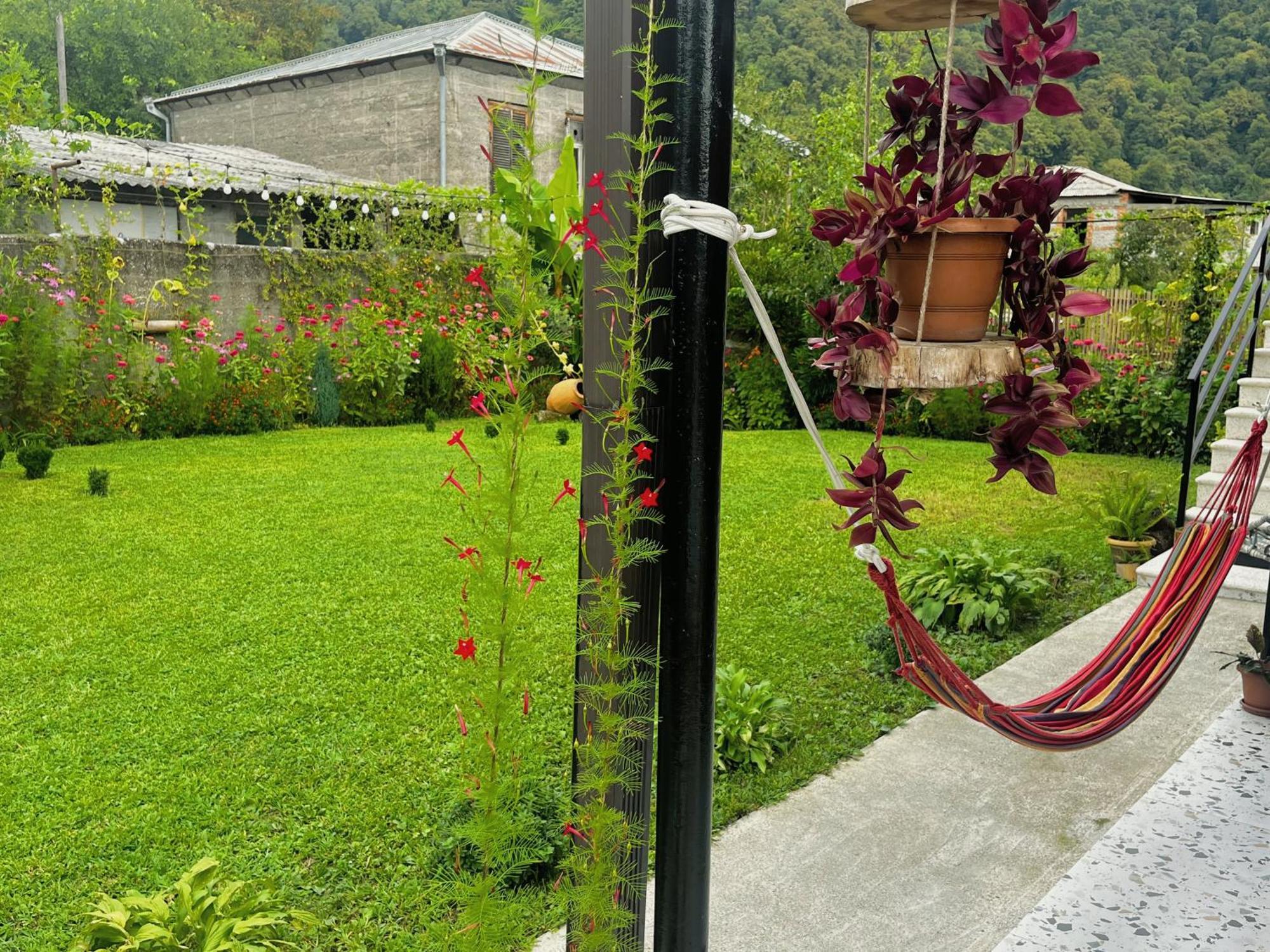 Hotel Mountain View Lagodekhi Zewnętrze zdjęcie