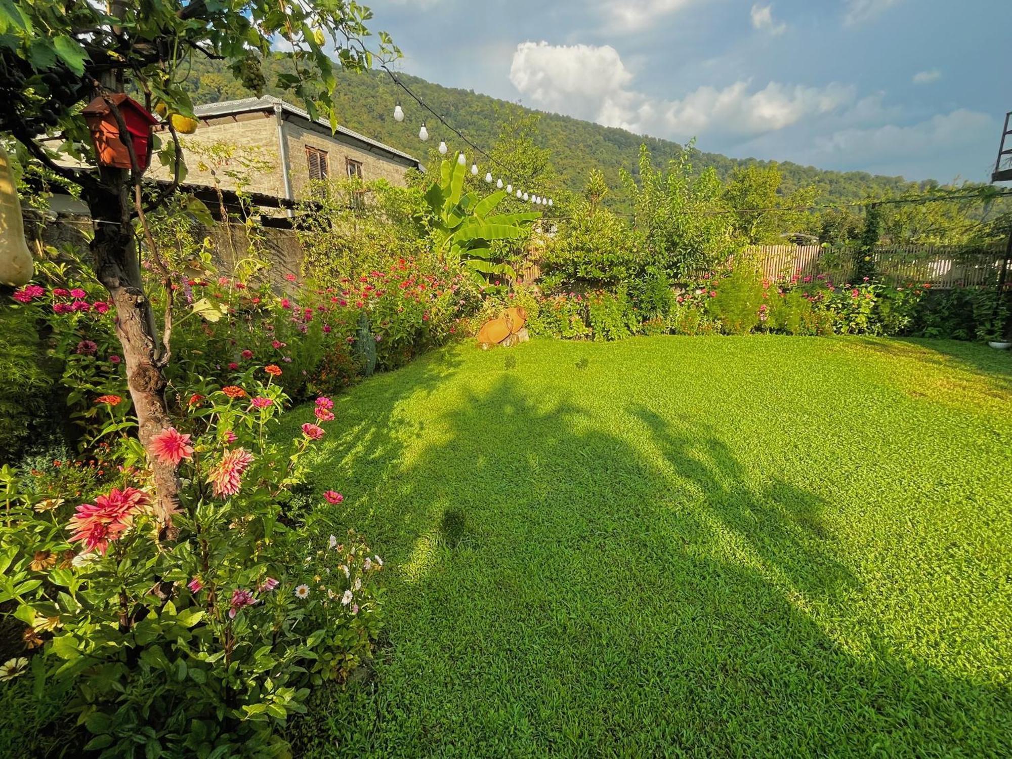 Hotel Mountain View Lagodekhi Zewnętrze zdjęcie