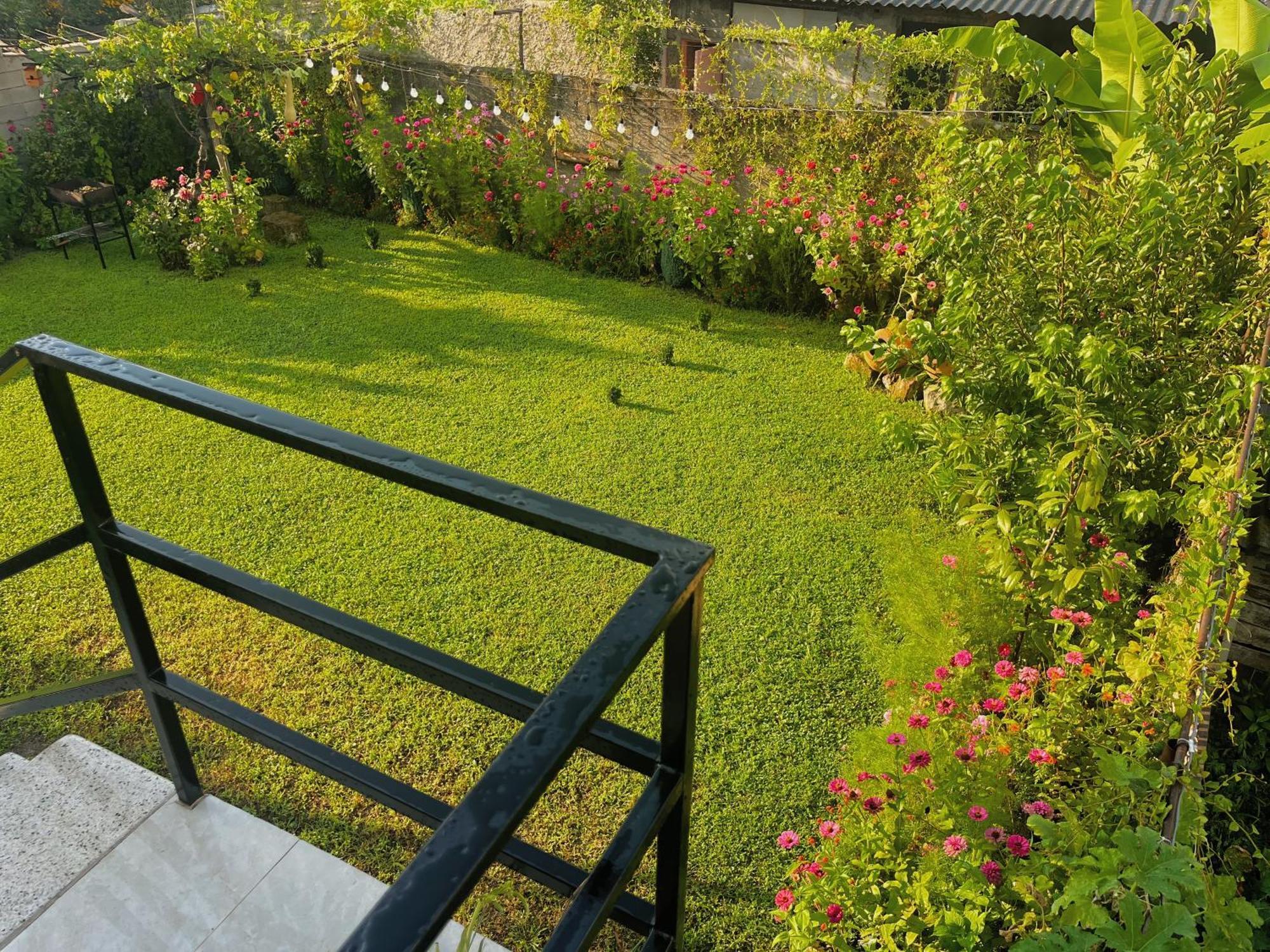 Hotel Mountain View Lagodekhi Zewnętrze zdjęcie
